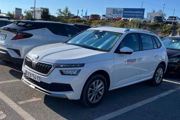 heronia car rental foto2